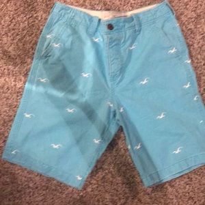 Men’s Hollister turquoise shorts